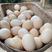 农家散养土鸡蛋，传统散养食杂粮蔬菜杂草，品质保证欢迎采购