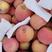新疆优质阿克苏糖心苹果，皮薄肉厚脆甜汁多大量供应可视频看货