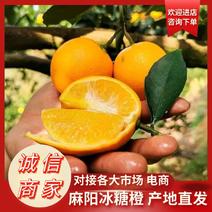 冰糖橙麻阳冰糖橙现产地直发量大从优全国发货