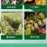 氨基酸水溶肥一喷绿黄叶变绿小叶变大花卉果树蔬菜通用水溶肥