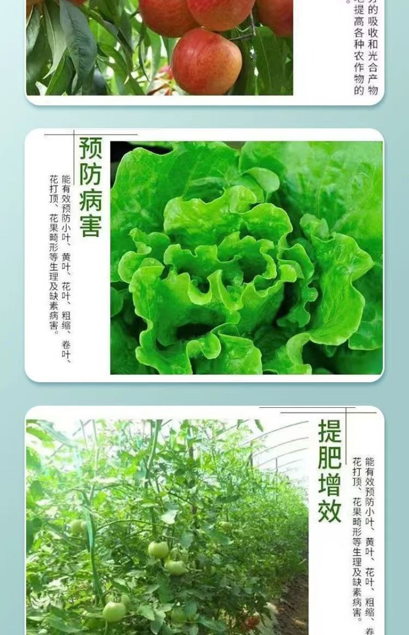氨基酸水溶肥一喷绿黄叶变绿小叶变大花卉果树蔬菜通用水溶肥