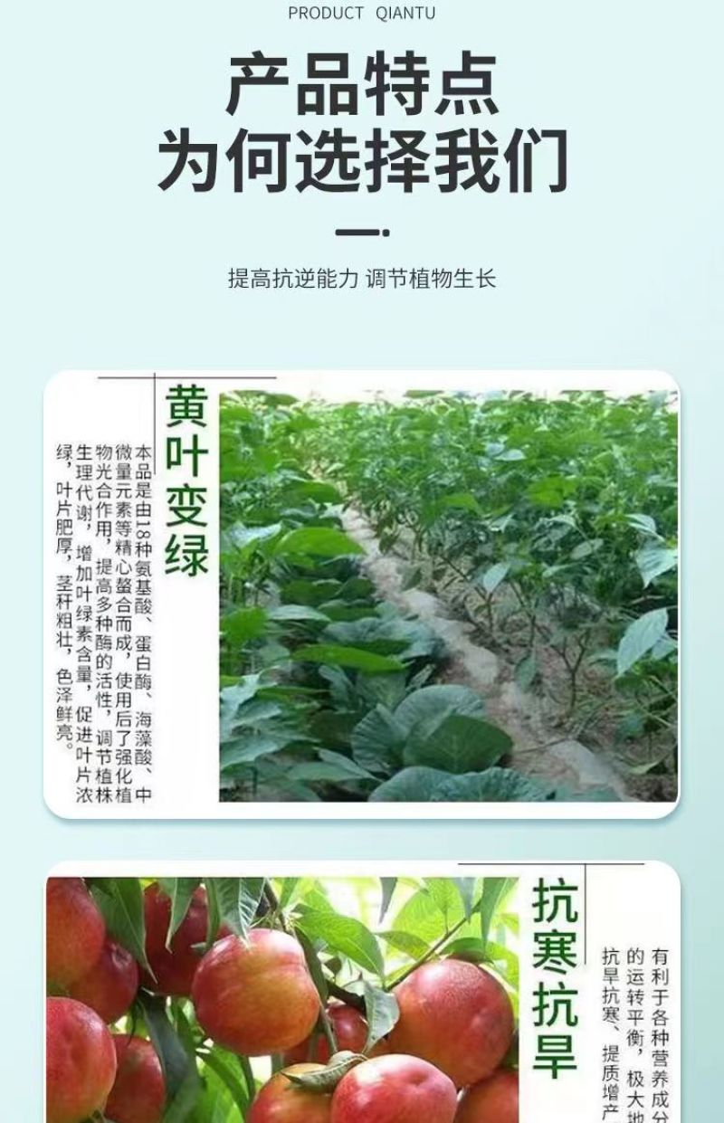 氨基酸水溶肥一喷绿黄叶变绿小叶变大花卉果树蔬菜通用水溶肥