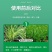 氨基酸水溶肥一喷绿黄叶变绿小叶变大花卉果树蔬菜通用水溶肥