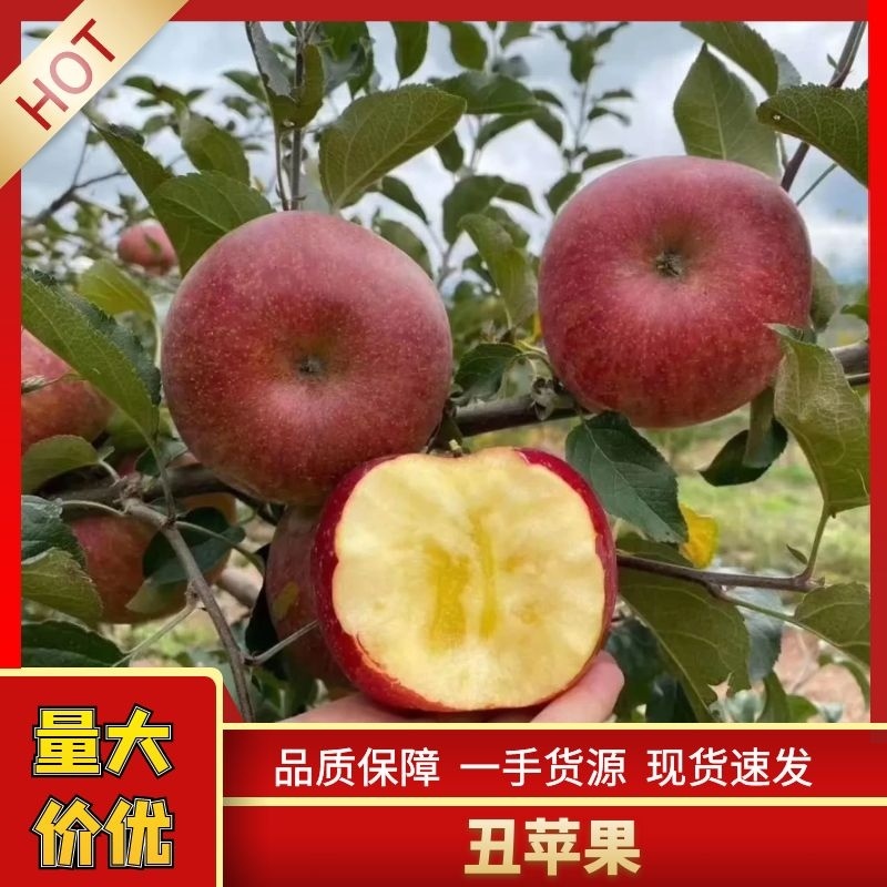 【推荐】高山糖心丑苹果又脆又甜可视频看货原产地直供
