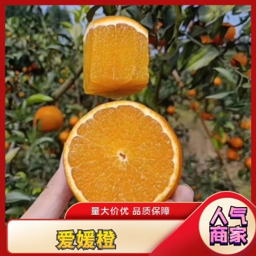 爱媛果冻橙可对接各大电商超市可视频看货支持一件代发