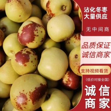 来电首单立减甄选沾化冬枣鲜枣各种规格支持一件代发