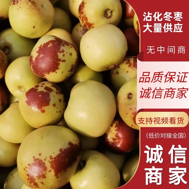 来电首单立减甄选沾化冬枣鲜枣各种规格支持一件代发
