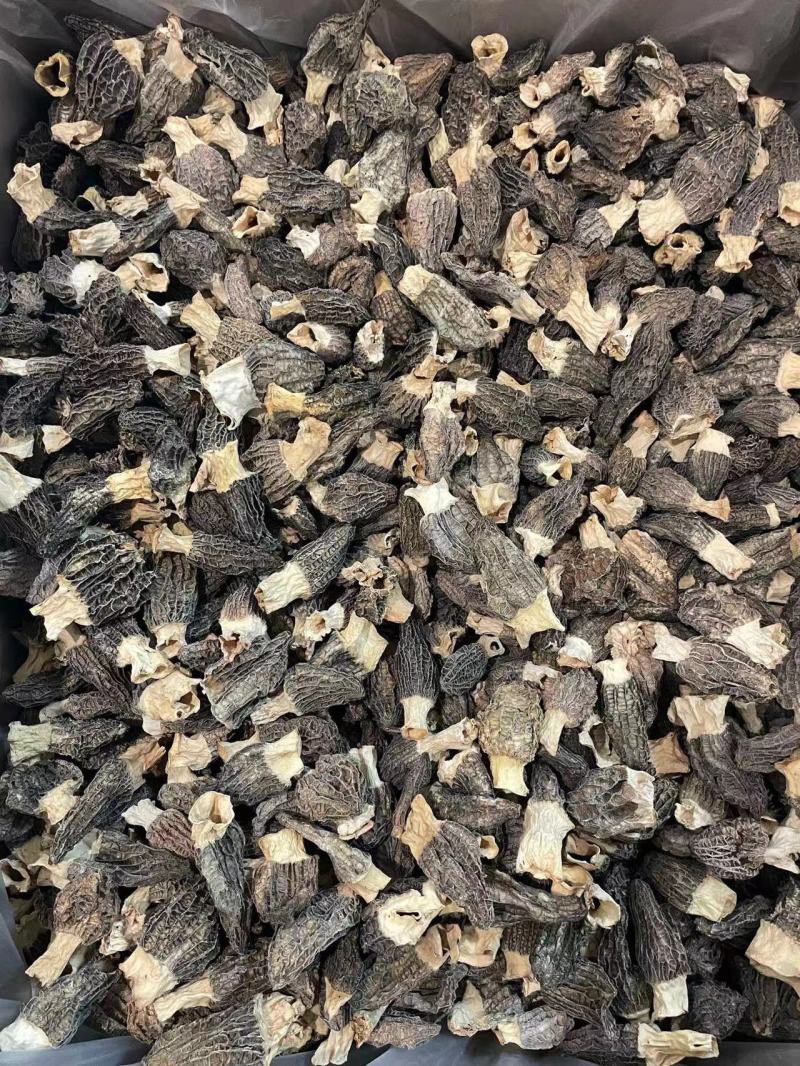 小号羊肚菌