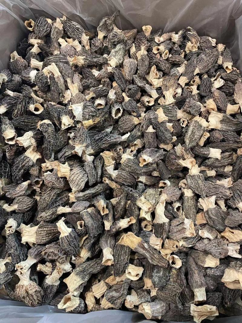 小号羊肚菌