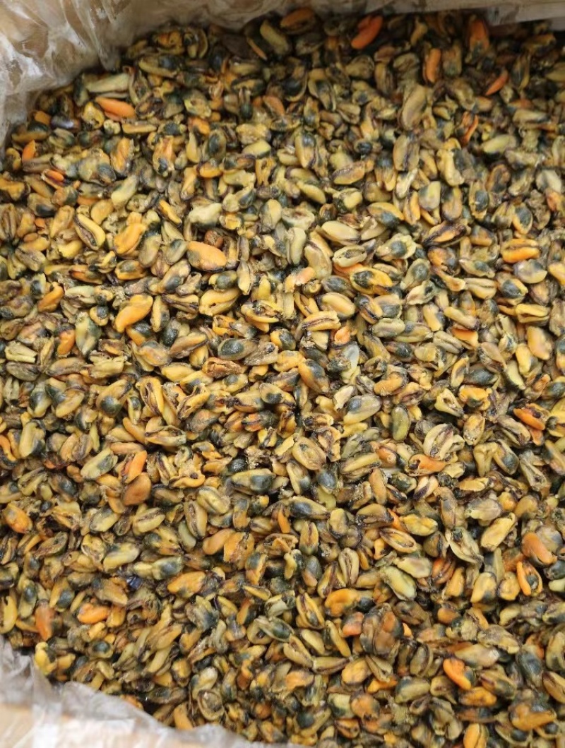 美味淡菜干新鲜海虹干海鲜淡菜青口贻贝非牡蛎干海产