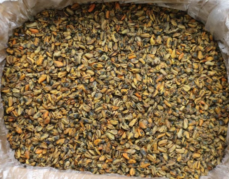美味淡菜干新鲜海虹干海鲜淡菜青口贻贝非牡蛎干海产