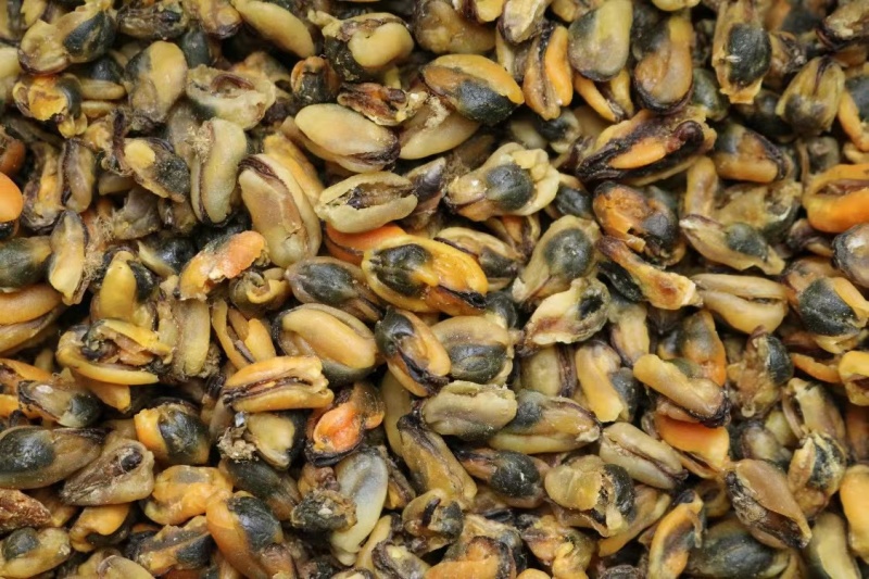 美味淡菜干新鲜海虹干海鲜淡菜青口贻贝非牡蛎干海产