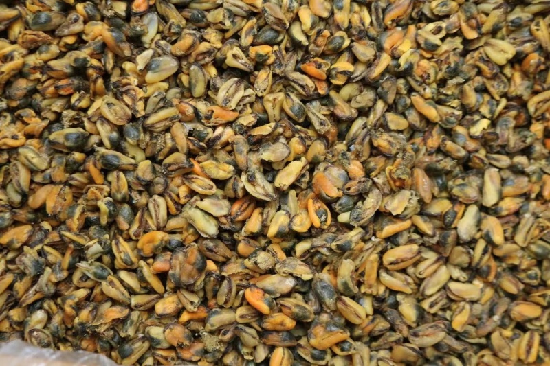 美味淡菜干新鲜海虹干海鲜淡菜青口贻贝非牡蛎干海产