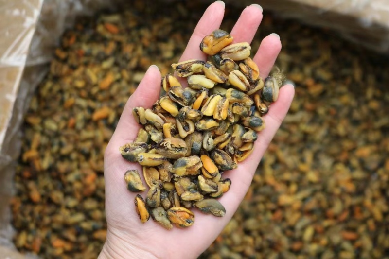 美味淡菜干新鲜海虹干海鲜淡菜青口贻贝非牡蛎干海产