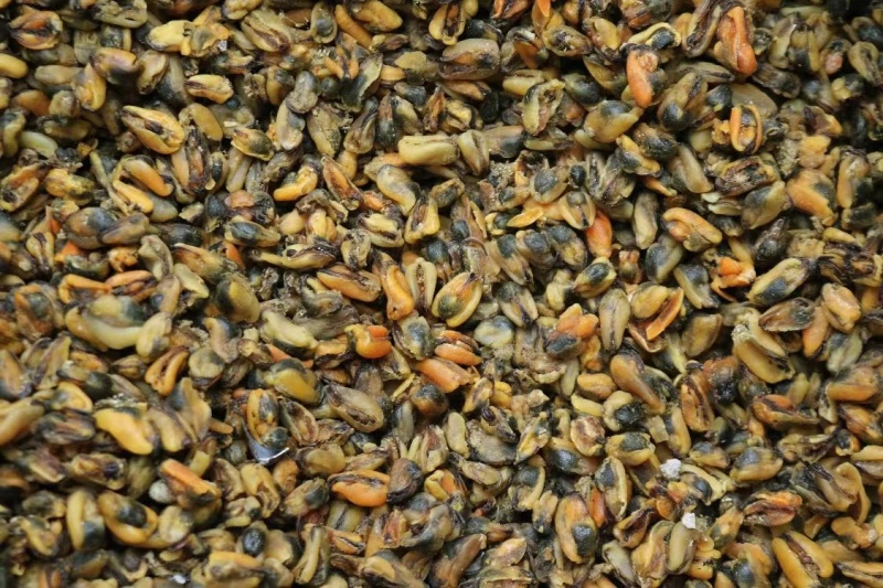 美味淡菜干新鲜海虹干海鲜淡菜青口贻贝非牡蛎干海产