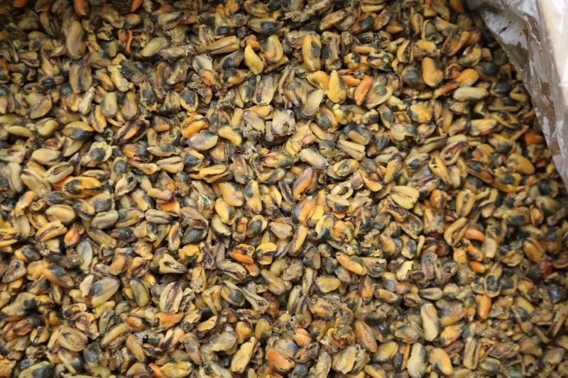 美味淡菜干新鲜海虹干海鲜淡菜青口贻贝非牡蛎干海产