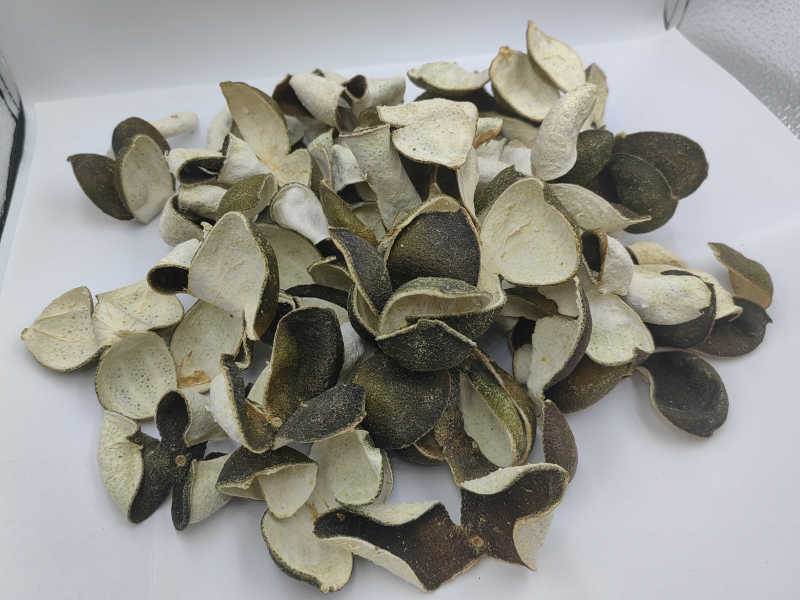 新皮陈皮绿皮
