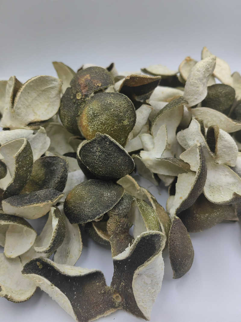 新皮陈皮绿皮