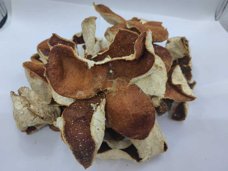 三年陈皮红皮