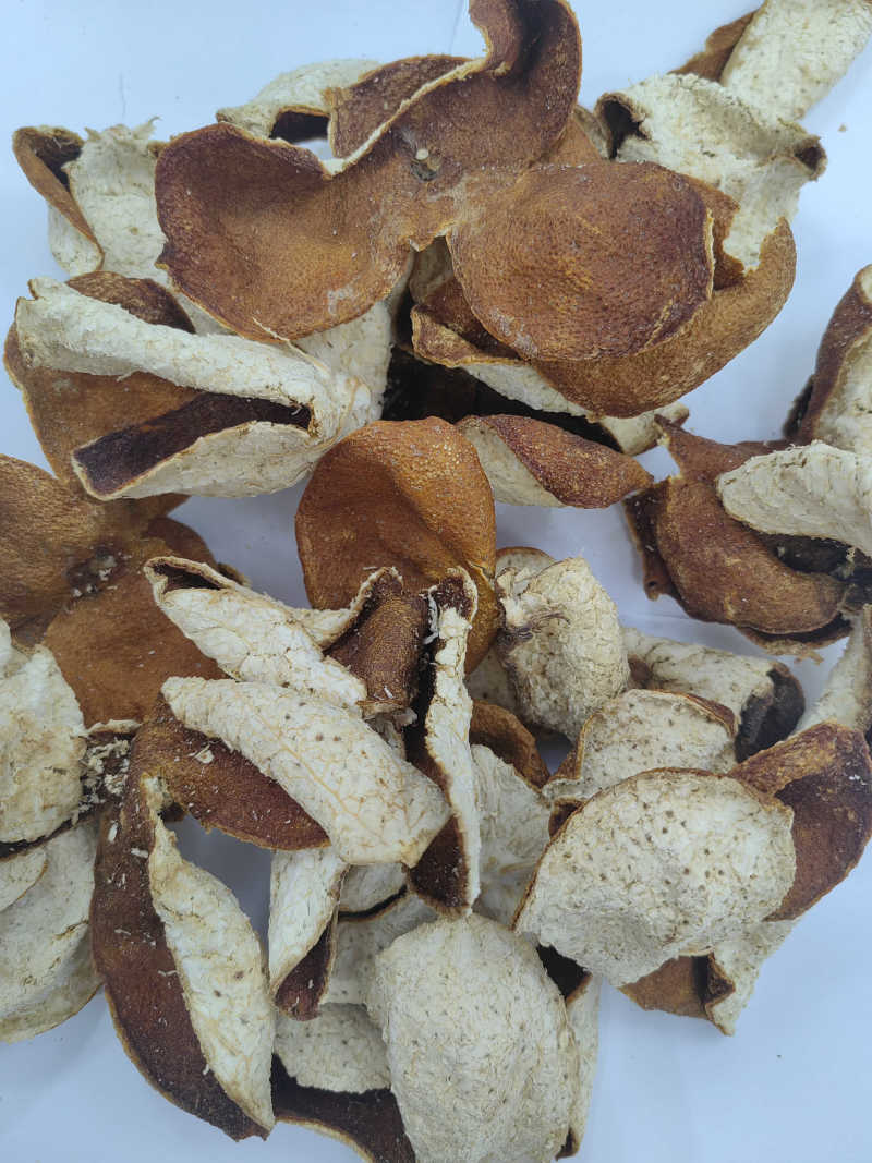 三年陈皮红皮