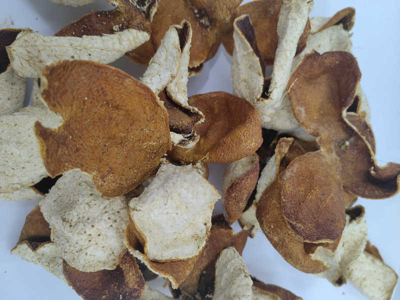 三年陈皮红皮