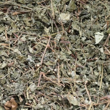 广东溪黄草茶祛中药材湿茶溪黄茶老藤茶白霜多回甘足野生茶叶