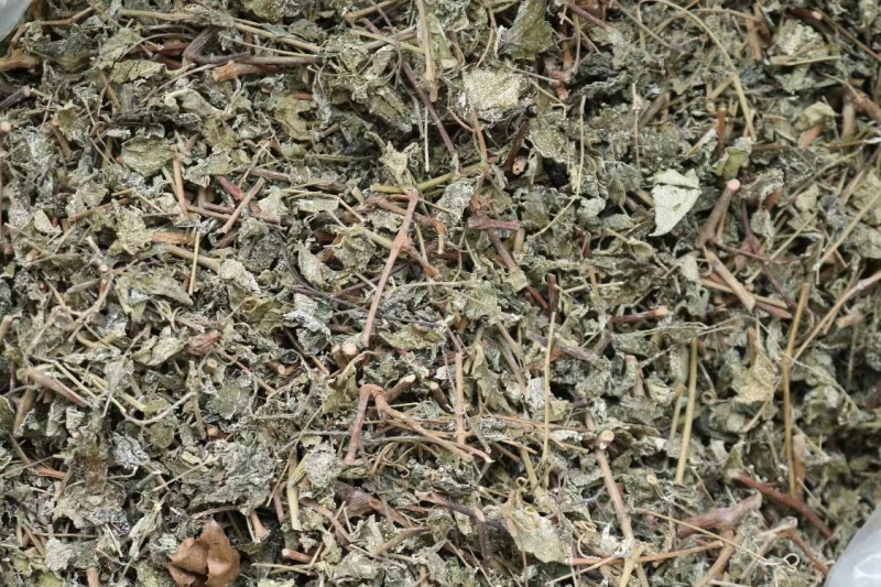 广东溪黄草茶祛中药材湿茶溪黄茶老藤茶白霜多回甘足野生茶叶
