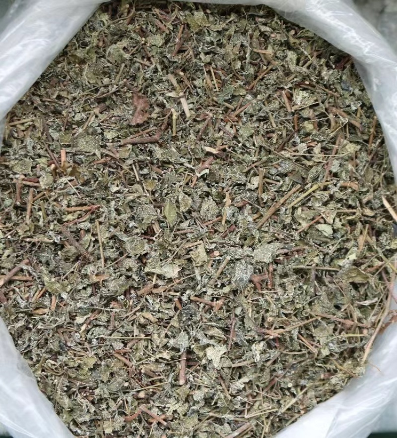 广东溪黄草茶祛中药材湿茶溪黄茶老藤茶白霜多回甘足野生茶叶