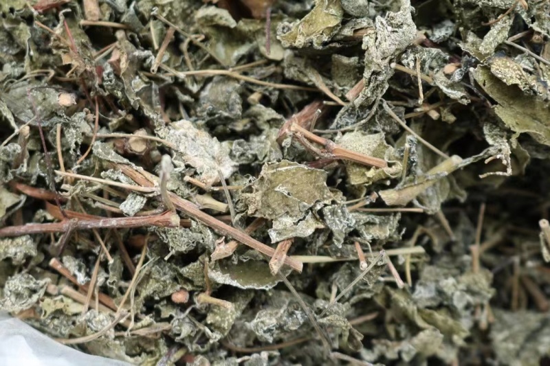 广东溪黄草茶祛中药材湿茶溪黄茶老藤茶白霜多回甘足野生茶叶