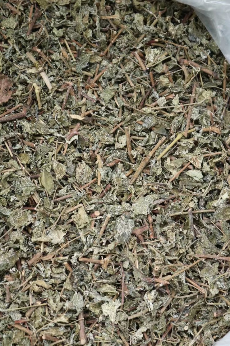 广东溪黄草茶祛中药材湿茶溪黄茶老藤茶白霜多回甘足野生茶叶