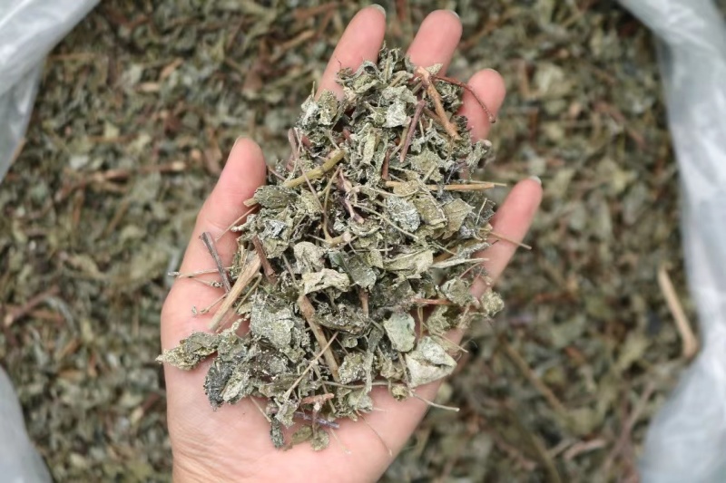广东溪黄草茶祛中药材湿茶溪黄茶老藤茶白霜多回甘足野生茶叶