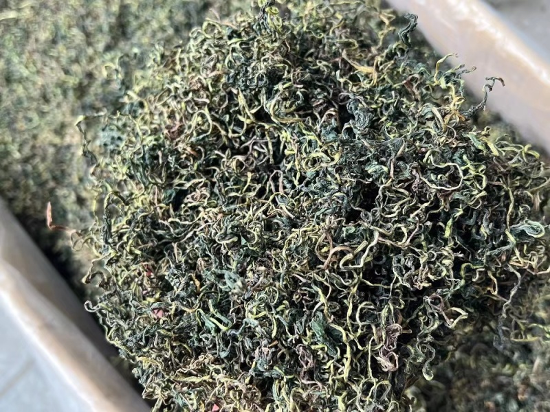 蒲公英茶