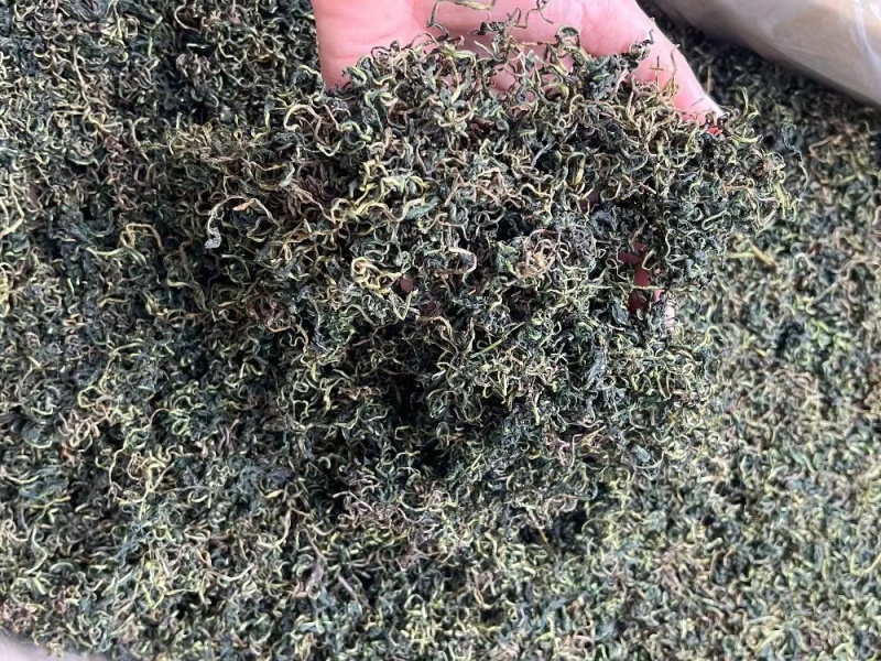 蒲公英茶