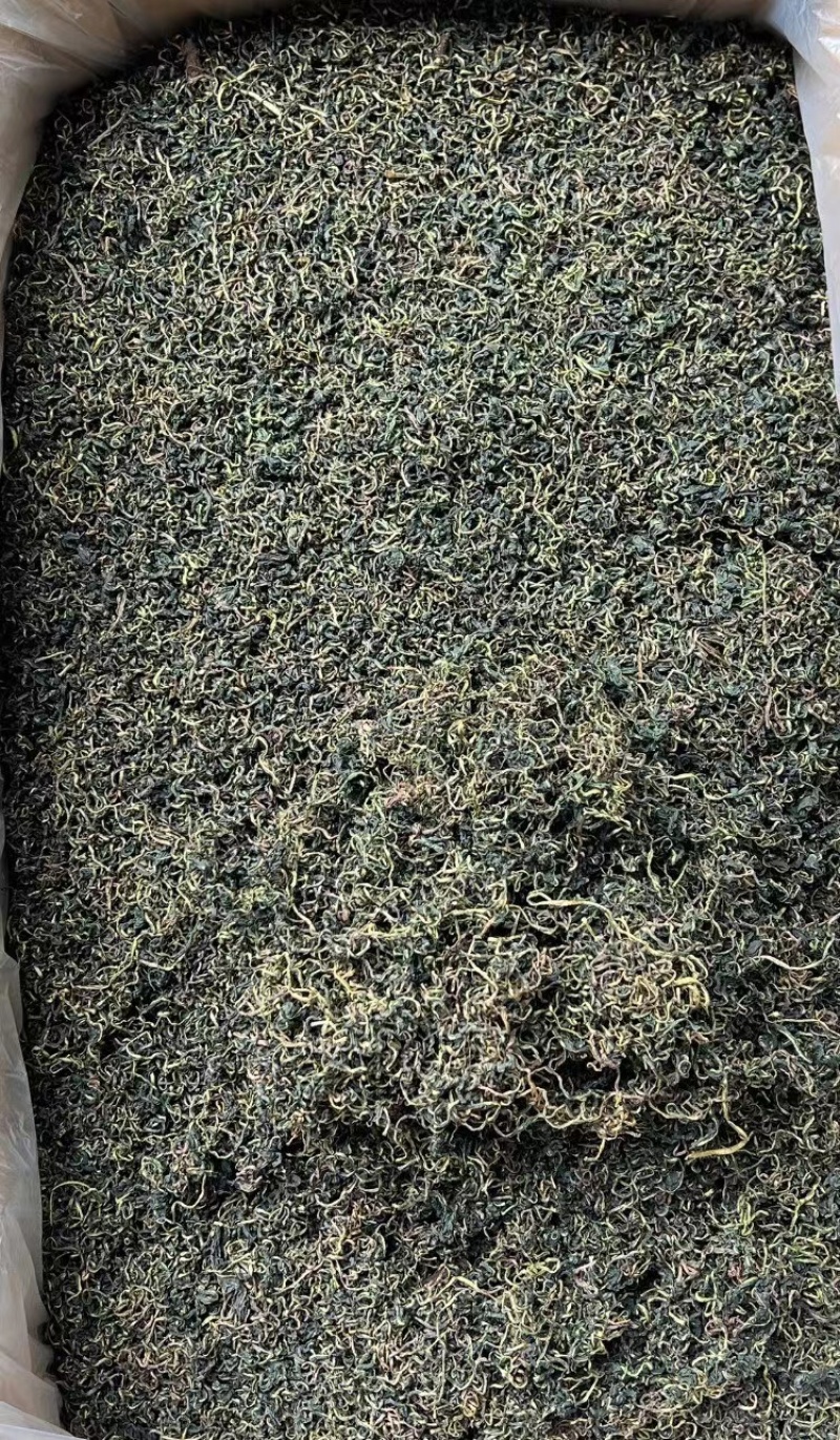 蒲公英茶