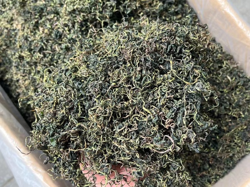蒲公英茶