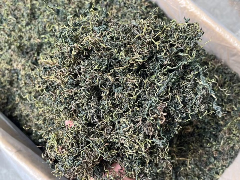 蒲公英茶