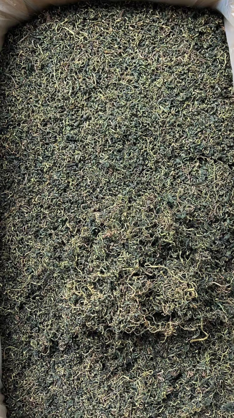 蒲公英茶