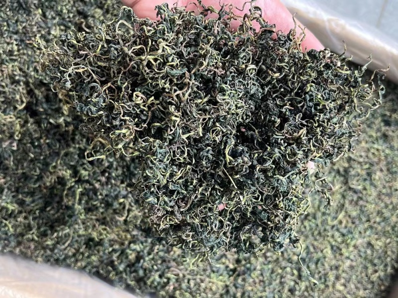 蒲公英茶