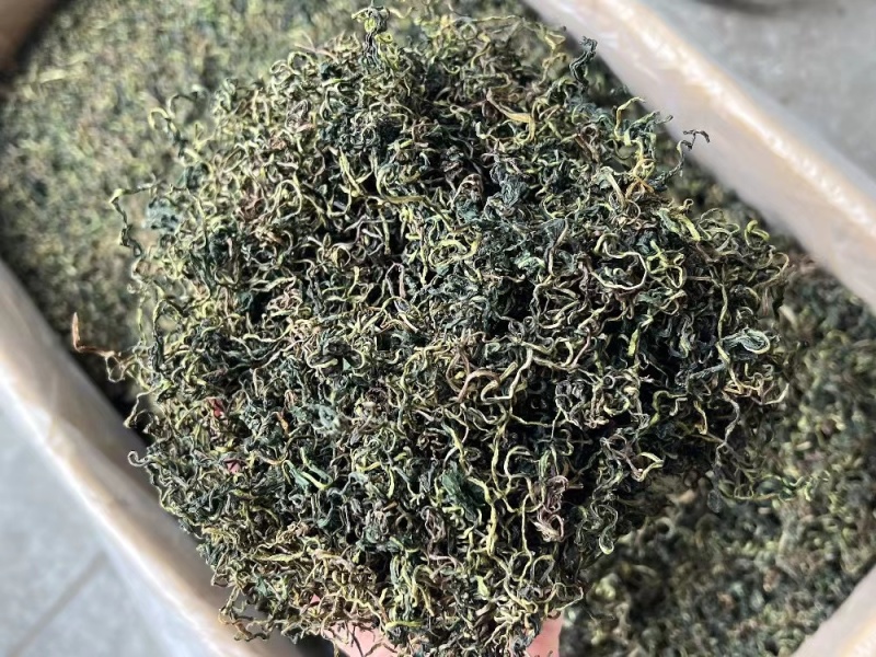 蒲公英茶