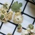 黄山贡菊