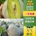 海南精品哈密瓜，产地直发，价优可视频看货