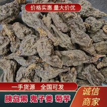 胰岛果鬼子姜菊芋产地批发一手货源支持视频看货