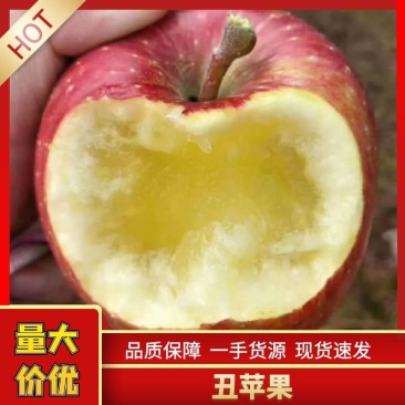 【推荐】高山糖心丑苹果又脆又甜可视频看货原产地直供