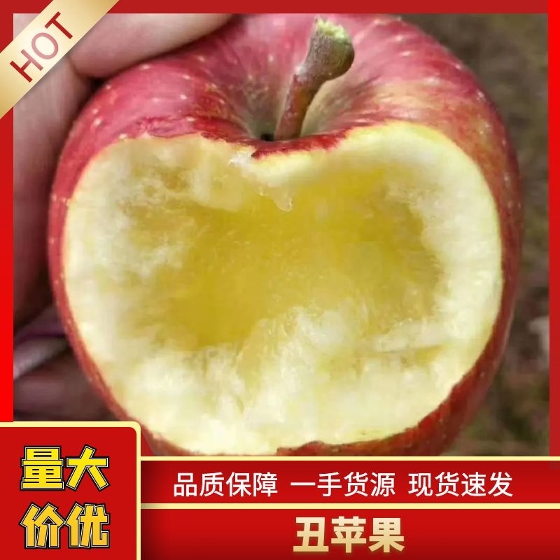 【推荐】高山糖心丑苹果又脆又甜可视频看货原产地直供
