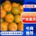 四川椪柑大量上市万亩基地现摘现发量大价低全国批发