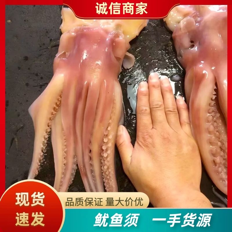 水发大鱿鱼须鱿鱼乌贼完整鱿鱼鱿鱼须新鲜大鱿鱼批发