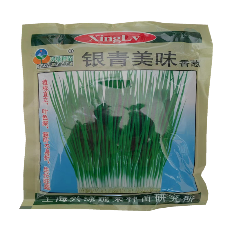 银青美味香葱种子叶色深四季小香葱种子耐热