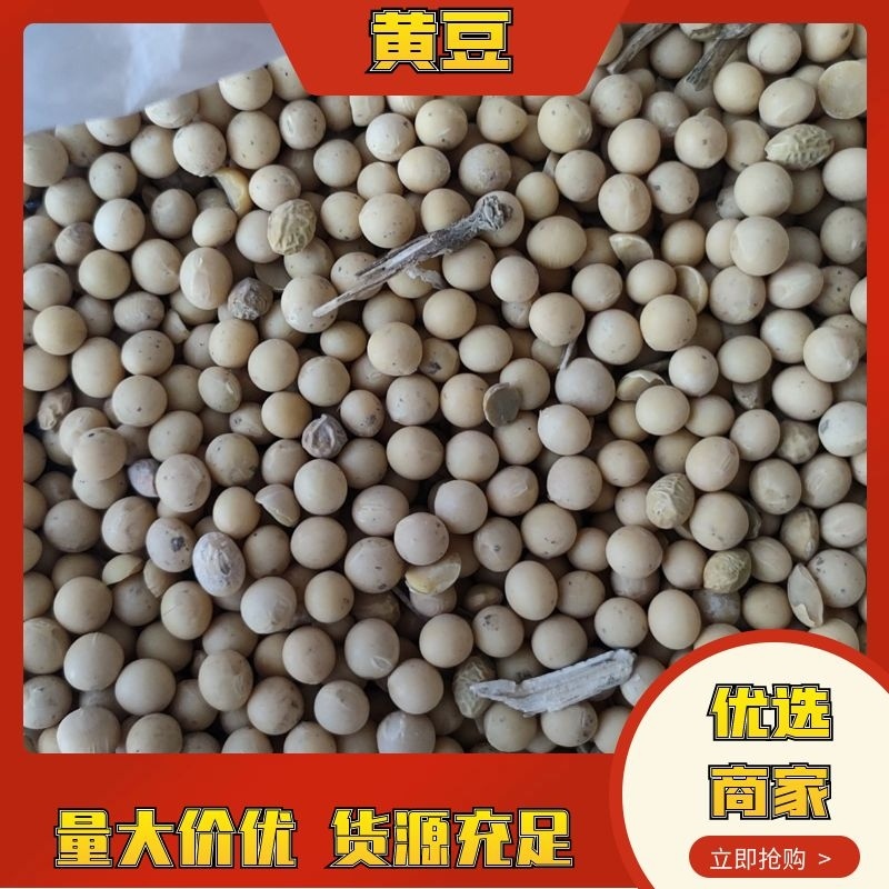 [精选]供货电商高蛋白大豆，黑龙江虎林，一手货源价格实惠