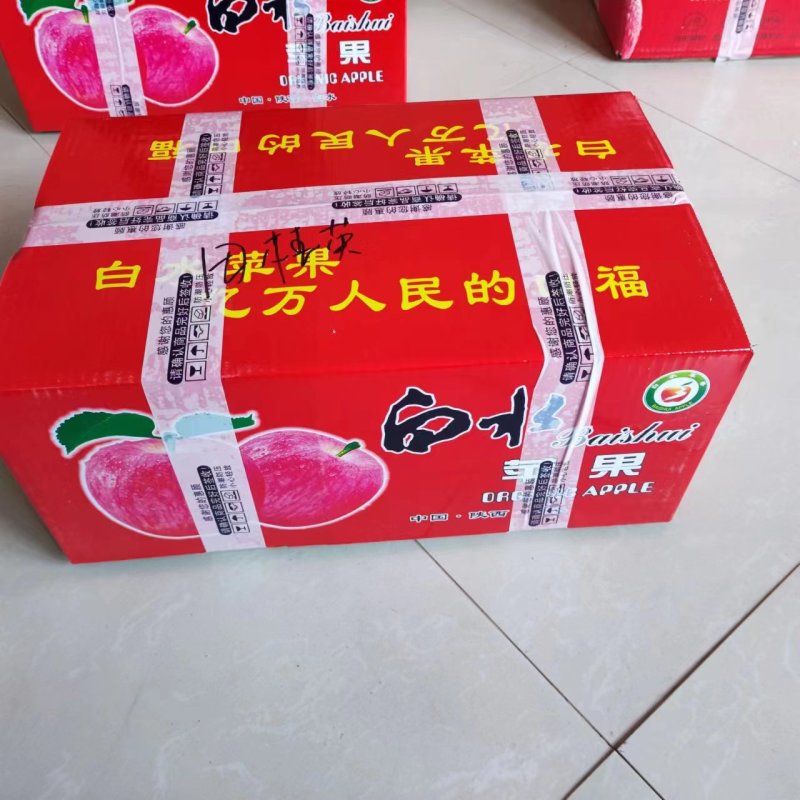 陕西精品苹果一件代发价格透明品质保证欢迎老板前来采购