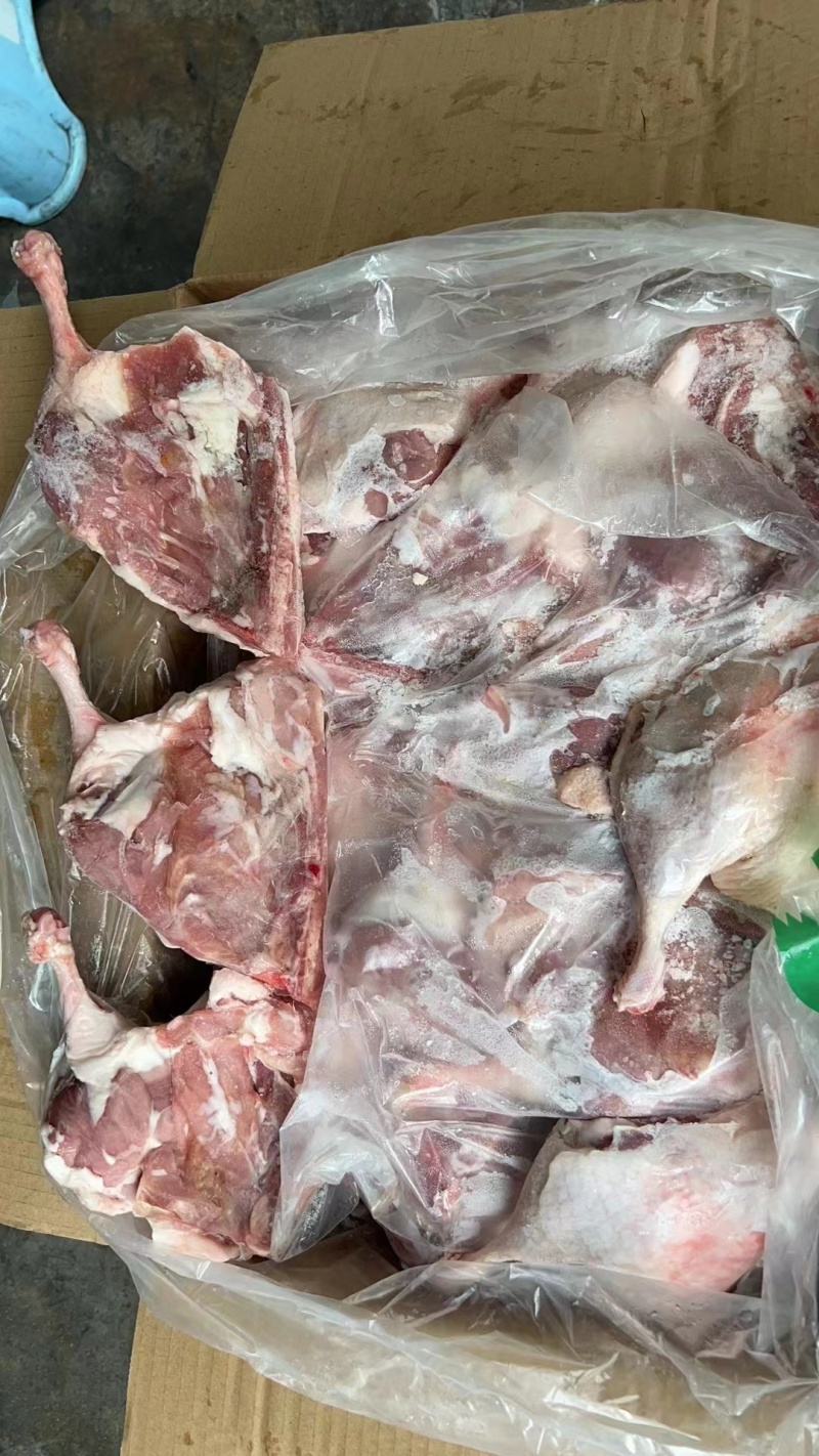 山东鸭边腿肉质鲜美厂家一手货源量大直发欢迎咨询采购